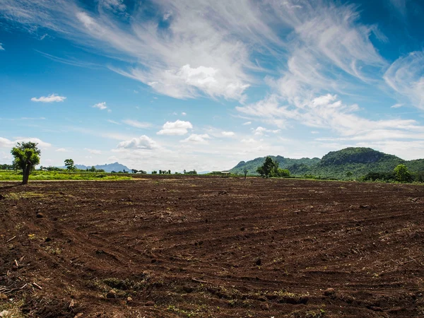 Brown agricultural soil of a field — Stock Photo, Image