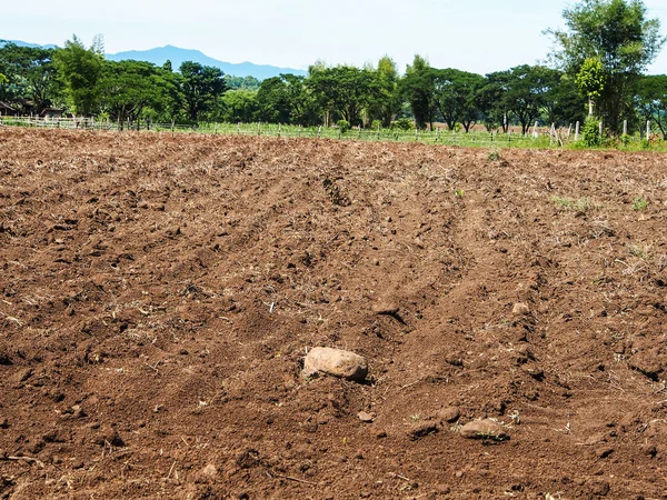 Brauner landwirtschaftlicher Boden eines Feldes — Stockfoto