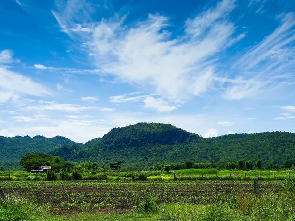 Berg grönt gräs och blå himmel landskap — Stockfoto