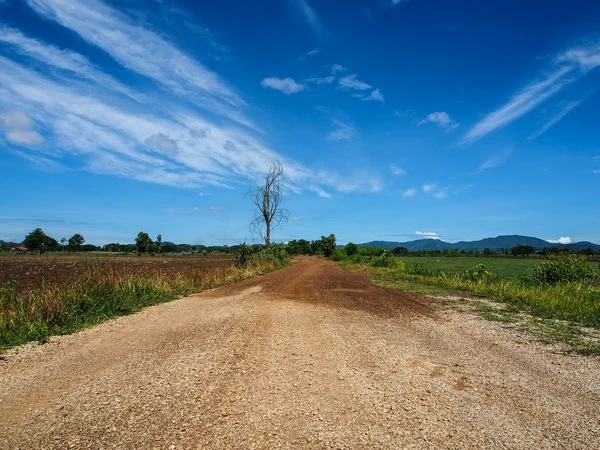 Estrada rural e céu azul com nuvens — Fotografia de Stock