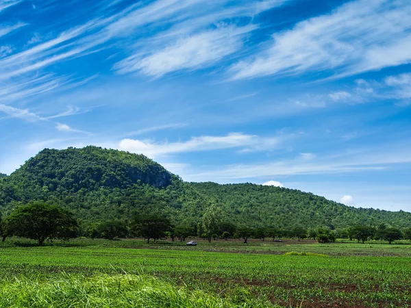 Berg grönt gräs och blå himmel landskap — Stockfoto