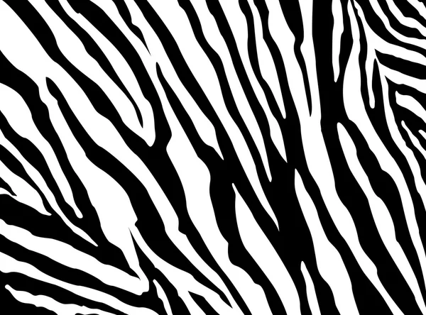 Zebra vzor vektoru. EPS 10 — Stockový vektor