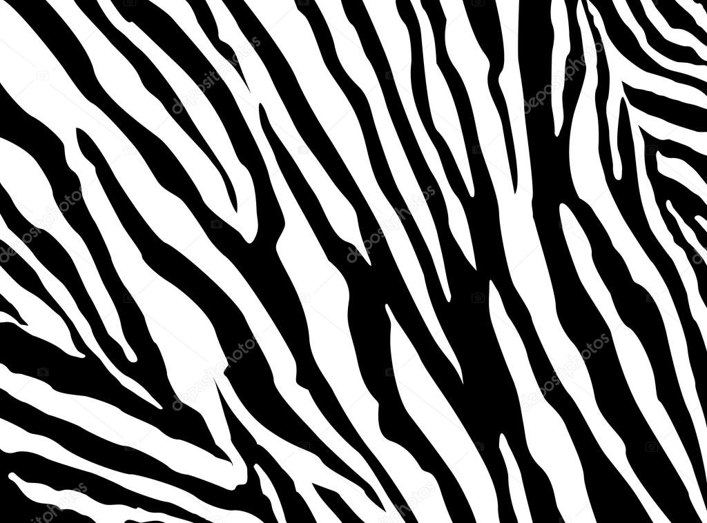 Zebra Pattern vector. EPS 10