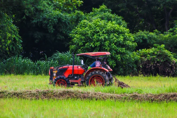Červený traktor v poli. — Stock fotografie