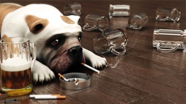 Depresyonda köpek