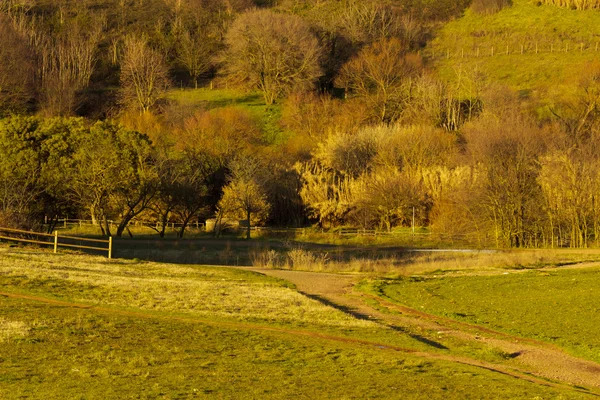 Parco appia vecchio — Foto Stock