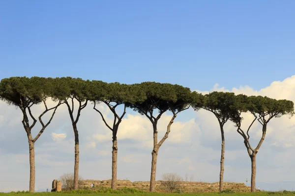 Parque dos Aquedutos, Roma - Itália — Fotografia de Stock