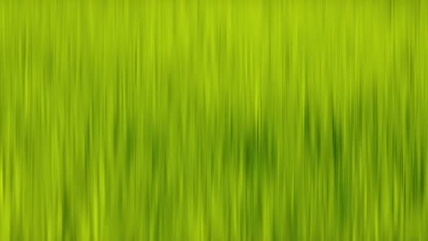 Textura de hierba verde — Vídeos de Stock