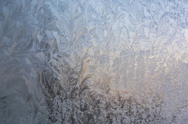 Frosty Patterns Window — Stock Photo, Image