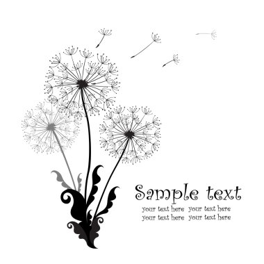 dandelions ile arka plan