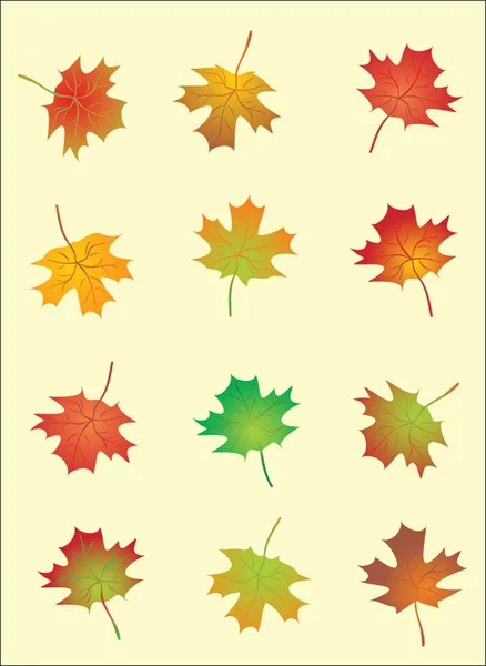 Hojas de otoño — Vector de stock