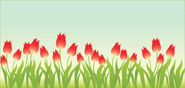 Fond floral avec tulipes — Image vectorielle