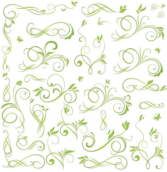 Set of green floral design elements — Stock Vector