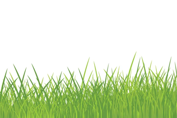 Achtergrond met groene gras — Stockvector