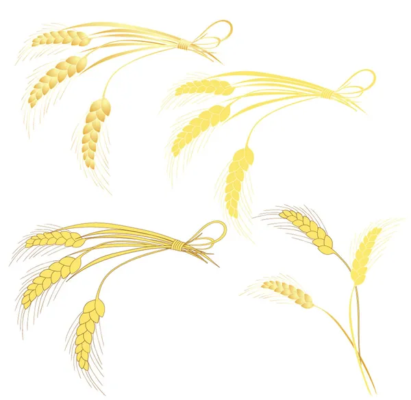 黄金 麦穗 — 图库矢量图片