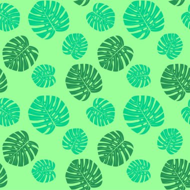 Canavar yapraklı, kusursuz, nanesiz, tropikal desenli. Tekstil baskısı ve şık duvar kağıdı için vektör moda tasarımı