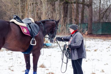 Kara bir körfez, Alman atını karların arkasına oturttu. Koçla birlikte bir kordon üzerinde antrenman yapıyordu..