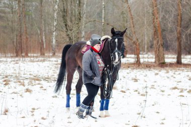 Kara bir körfez, Alman atını karların arkasına oturttu. Koçla birlikte bir kordon üzerinde antrenman yapıyordu..