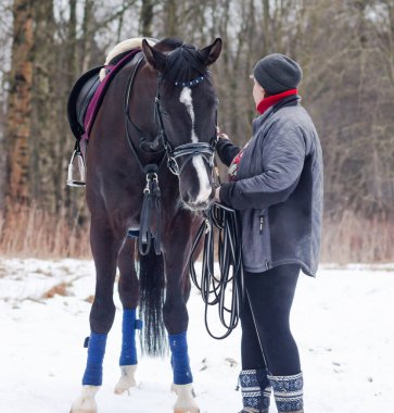 Kara bir körfez, Alman atını karların arkasına oturttu. Koçla birlikte bir kordon üzerinde antrenman yapıyordu..