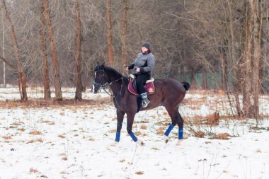 Bir kadın, kış manzarasının, karın, ormanın, sazlıkların arka planında bir Alman atına biniyor..