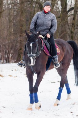 Bir kadın, kış manzarasının, karın, ormanın, sazlıkların arka planında bir Alman atına biniyor..