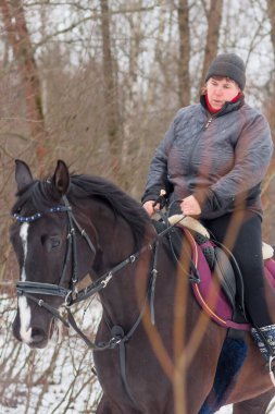Bir kadın, kış manzarasının, karın, ormanın, sazlıkların arka planında bir Alman atına biniyor..
