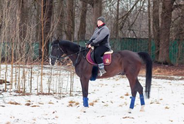 Bir kadın, kış manzarasının, karın, ormanın, sazlıkların arka planında bir Alman atına biniyor..