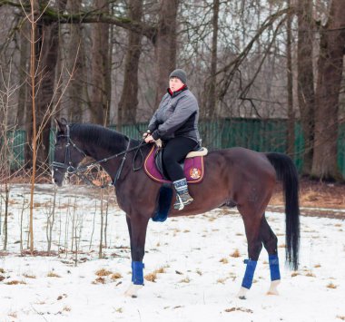 Bir kadın, kış manzarasının, karın, ormanın, sazlıkların arka planında bir Alman atına biniyor..