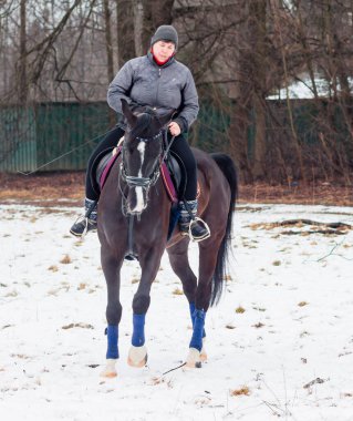 Bir kadın, kış manzarasının, karın, ormanın, sazlıkların arka planında bir Alman atına biniyor..