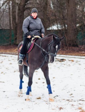 Bir kadın, kış manzarasının, karın, ormanın, sazlıkların arka planında bir Alman atına biniyor..