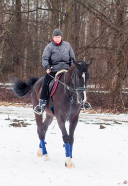 Bir kadın, kış manzarasının, karın, ormanın, sazlıkların arka planında bir Alman atına biniyor..