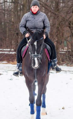 Bir kadın, kış manzarasının, karın, ormanın, sazlıkların arka planında bir Alman atına biniyor..