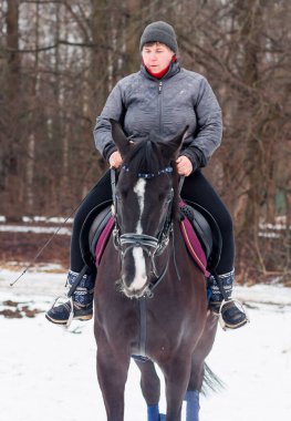 Bir kadın, kış manzarasının, karın, ormanın, sazlıkların arka planında bir Alman atına biniyor..