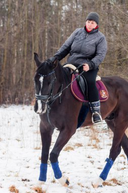 Bir kadın, kış manzarasının, karın, ormanın, sazlıkların arka planında bir Alman atına biniyor..