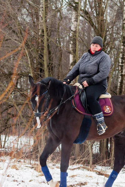 一个女人骑着一匹黑湾的德国马 背景是冬季的风景 — 图库照片