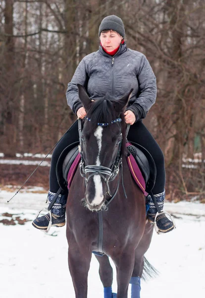 冬の風景 葦を背景に暗い湾のドイツの馬に乗る女性 — ストック写真