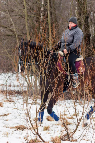 Uma Mulher Monta Cavalo Alemão Baía Escura Contra Fundo Uma — Fotografia de Stock