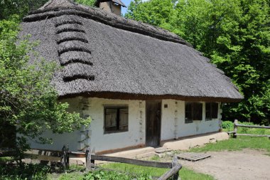 Ormandaki geleneksel Ukrayna evi