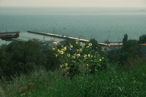 Eski liman, dalgakıran ve rıhtım manzarası