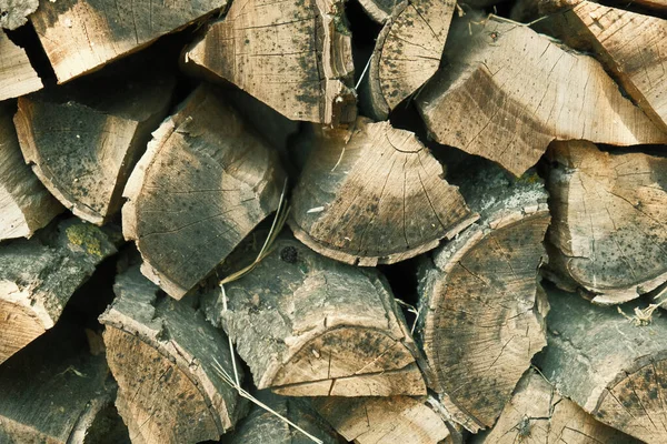 Yakacak odun yığını. Kış için hazırlanmış odun.