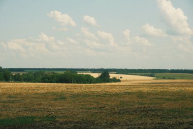 Hasat edilen buğday ve mavi gökyüzünden sonra alan manzarası. Arta kalan buğdaylarla sarı tarla ve uzaktaki yeşil orman.