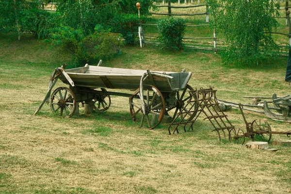 Старая Сельская Лошадиная Повозка Газоне Саду Коляска Зеленой Траве Дворе — стоковое фото