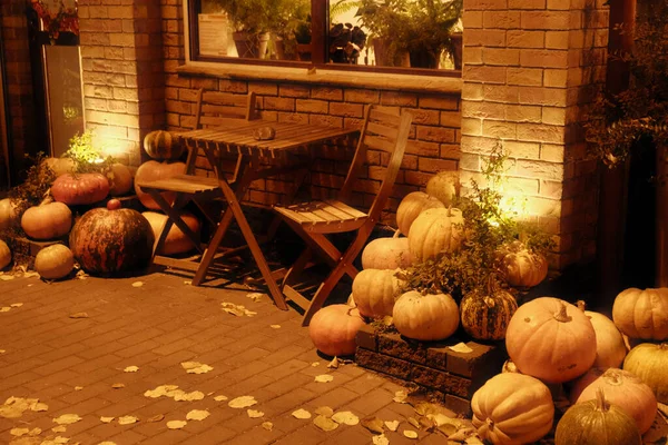 Pumpkins and gourds in the garden before Halloween. Halloween preparation, pumpkin carving and Carving a jack-o'-lantern