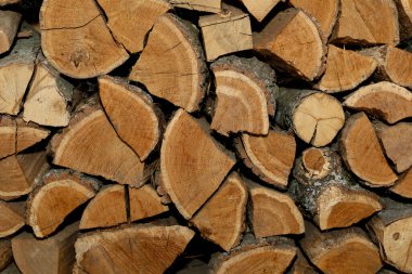 A stack of firewood harvested for the winter. Pile of firewood dries before winter