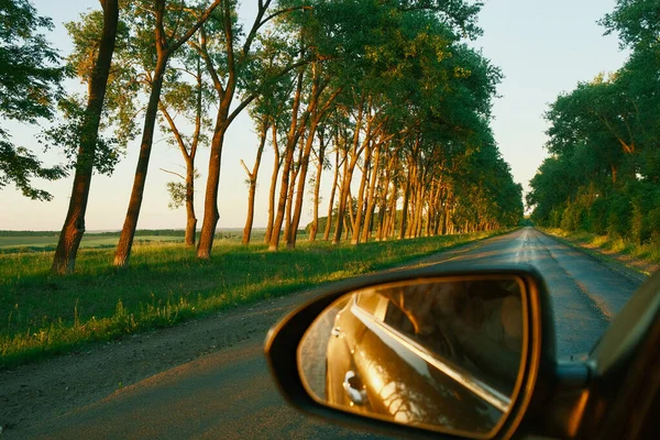 Beautiful view of the road from the car window. View of the highway among the trees through the windshield of the car