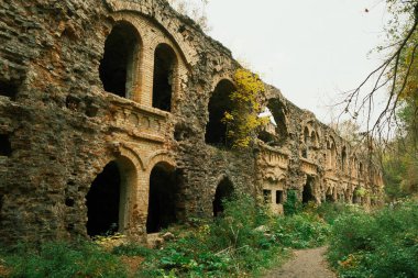 Ukrayna 'nın Rivne Bölgesi' nin Dubno ilçesi Tarakaniv köyü ile Tarakaniv kalesinin bitki örtüsüyle kaplanmış güzel kalıntılar. Terk Edilmiş Askeri Tarakaniv Kalesi, Dubno Kalesi