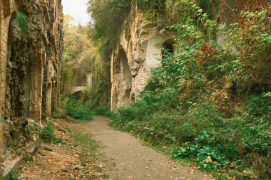 Ukrayna 'nın Rivne Bölgesi' nin Dubno ilçesi Tarakaniv köyü ile Tarakaniv kalesinin bitki örtüsüyle kaplanmış güzel kalıntılar. Terk Edilmiş Askeri Tarakaniv Kalesi, Dubno Kalesi