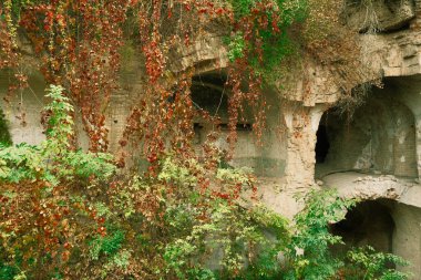 Ukrayna 'nın Rivne Bölgesi' nin Dubno ilçesi Tarakaniv köyü ile Tarakaniv kalesinin bitki örtüsüyle kaplanmış güzel kalıntılar. Terk Edilmiş Askeri Tarakaniv Kalesi, Dubno Kalesi