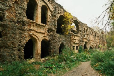 Ukrayna 'nın Rivne Bölgesi' nin Dubno ilçesi Tarakaniv köyü ile Tarakaniv kalesinin bitki örtüsüyle kaplanmış güzel kalıntılar. Terk Edilmiş Askeri Tarakaniv Kalesi, Dubno Kalesi