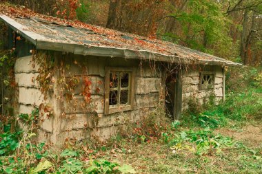 Çimlerle kaplı terk edilmiş eski bir ev. Pencereleri yapraklar, çimenler ve bitki örtüsüyle kaplı terk edilmiş eski bir kulübe..